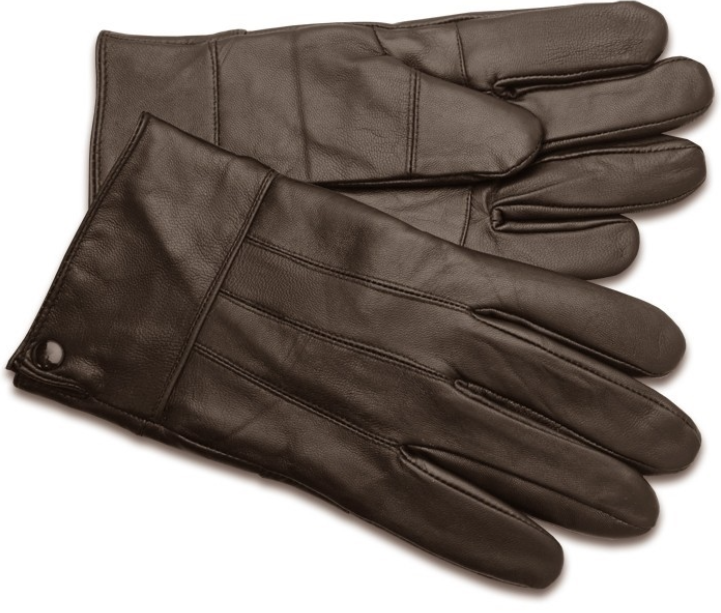 Sophos Leather Gloves