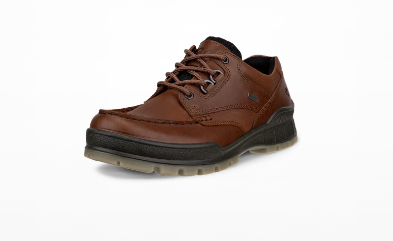 Track 25 – Leather GORE-TEX Moc-Toe Shoes - Brown